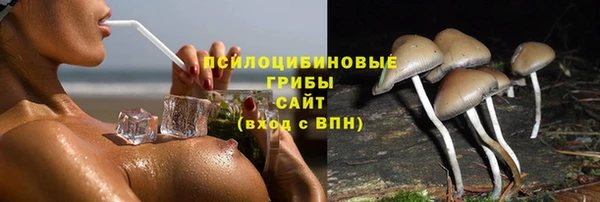 шишки Алзамай