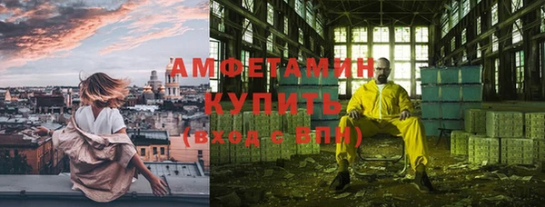 шишки Алзамай
