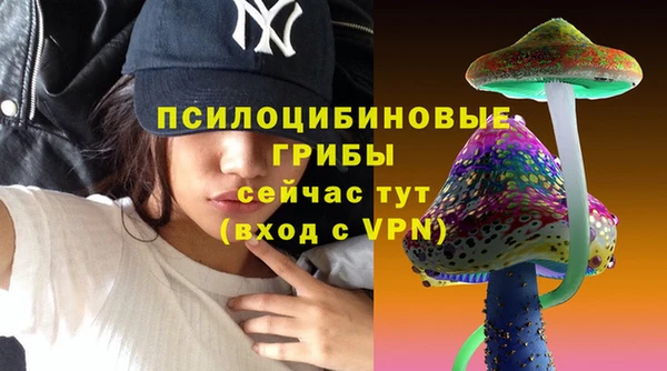 амфетамин Алексин