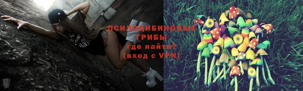 амфетамин Алексин