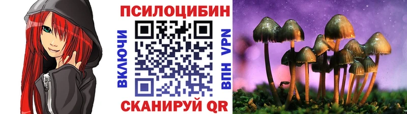 Псилоцибиновые грибы MAGIC MUSHROOMS где продают Данков